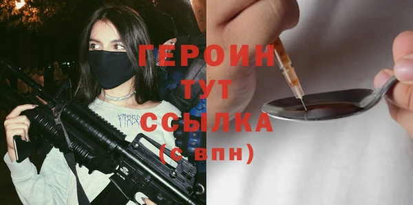 гидра Богородицк