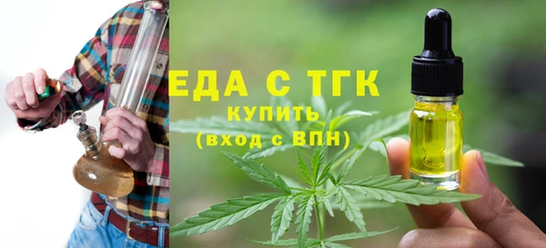 гидра Богородицк