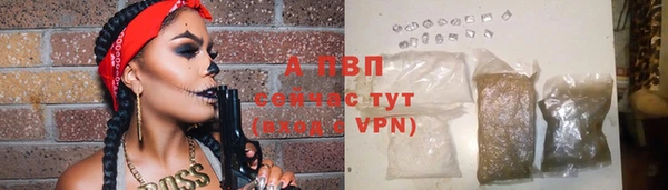 гидра Богородицк