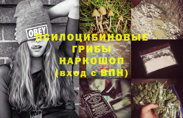 прущие крисы Богданович