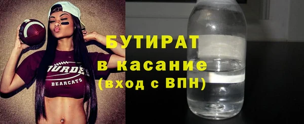 гидра Богородицк