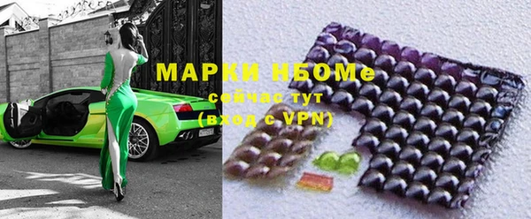 гашик Бородино