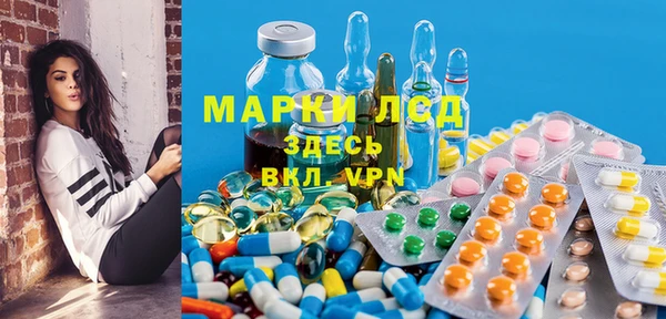 гидра Богородицк