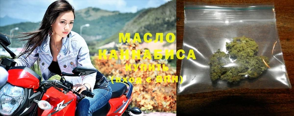 гашик Бородино