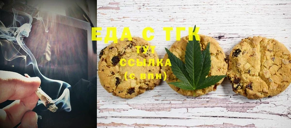 гидра Богородицк